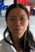 Bing Jiang, M.D.