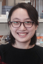 Wei Zhu, Ph.D.